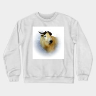 Takin Crewneck Sweatshirt